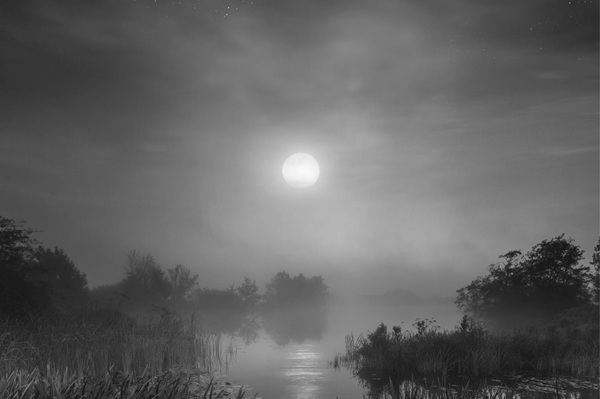 #meditation #pleineconscience #meditationpleineconscience #mediter #mindfulness #yoga #hathayoga #pranayama #respiration #takeabreath #retraite #retraiteyoga #retraitemeditation #retraitemeditative #pratiquessomatiques #soma #sommeil #yogadurêve #insomnies