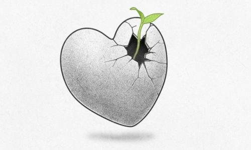 méditation pleine conscience tendresse