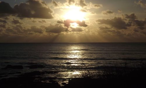 250505 inutile et precieux soleil