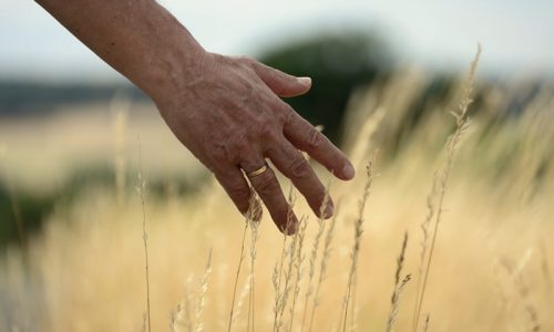 méditation pleine conscience sensations tactiles peau