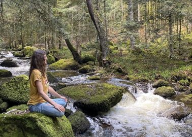 stage été yoga méditation pleine conscience nature
