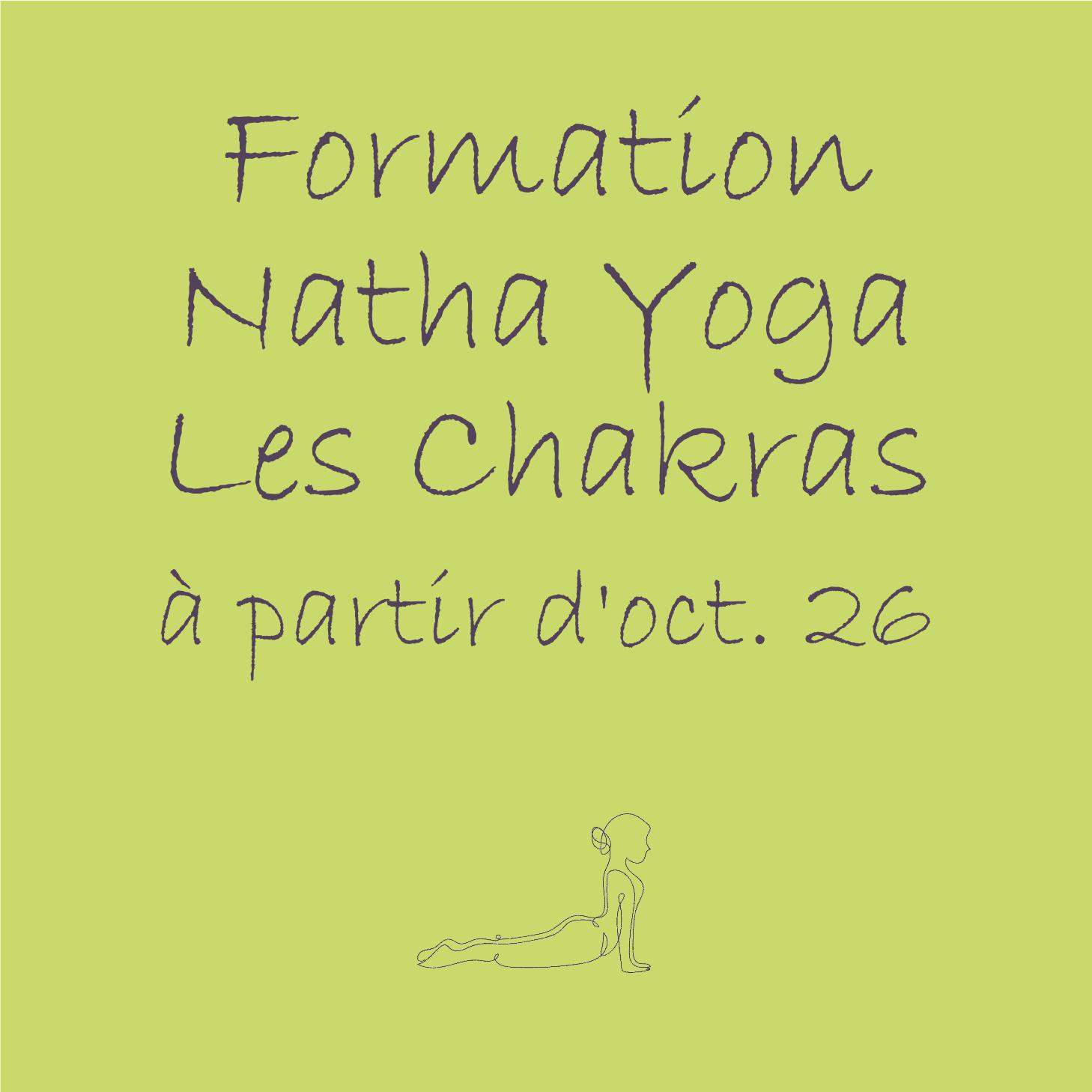 formation yoga chakras énergétique lyon