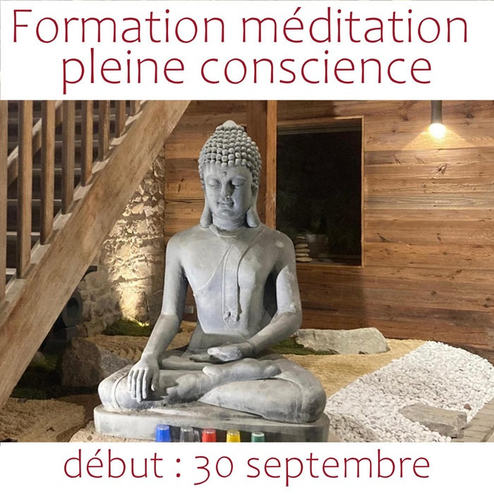 formation méditation pleine conscience lyon rhône alpes francheville